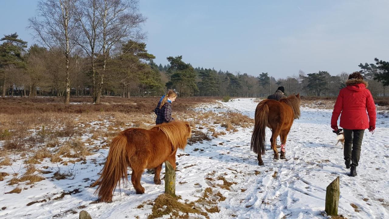 Chalet Op De Veluwe # Linde Putten Exterior foto